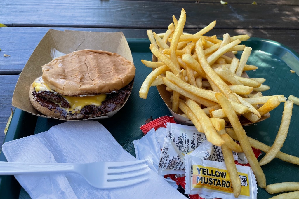 A delicious, no-nonsense burger served on a plastic tray with an overflowing basket of fries